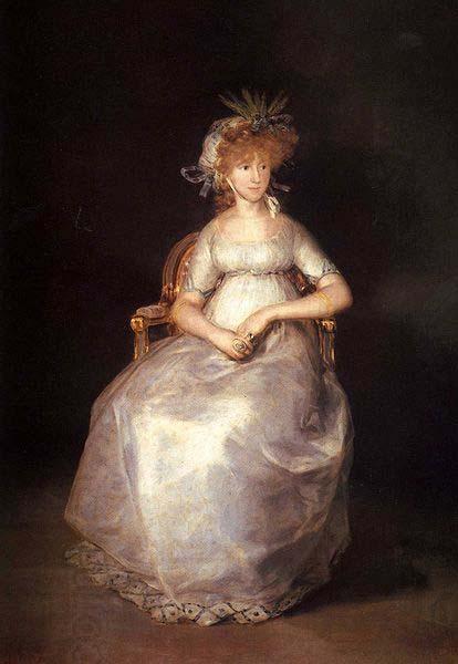 Francisco de Goya Portrait of the Maria Teresa de Borbon y Vallabriga, 15th Countess of Chinchon oil painting picture